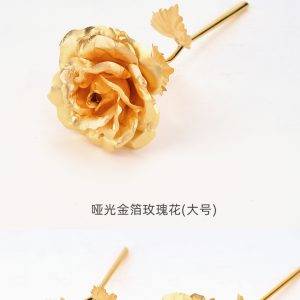 JF-FL-001（玫瑰花开放） - Image 2